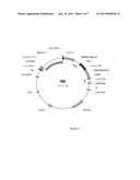 Methods to increase antigenicity of membrane bound polypeptides produced     in plants diagram and image