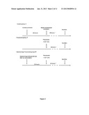 TLR 4 AND 9 RECEPTORS AGONISTS FOR PREVENTING SEPTIC COMPLICATIONS OF     POST-TRAUMATIC IMMUNODEPRESSION IN PATIENTS HOSPITALIZED FOR SEVERE     TRAUMATIC INJURIES diagram and image