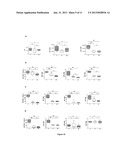 TLR 4 AND 9 RECEPTORS AGONISTS FOR PREVENTING SEPTIC COMPLICATIONS OF     POST-TRAUMATIC IMMUNODEPRESSION IN PATIENTS HOSPITALIZED FOR SEVERE     TRAUMATIC INJURIES diagram and image