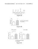 METHOD FOR PREVENTING OR TREATING MEMORY IMPAIRMENT AND PHARMACEUTICAL     COMPOSITIONS USEFUL THEREFORE diagram and image