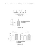 METHOD FOR PREVENTING OR TREATING MEMORY IMPAIRMENT AND PHARMACEUTICAL     COMPOSITIONS USEFUL THEREFORE diagram and image