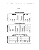 BETA-CARBOLINES FOR USE IN THE TREATMENT OF HEARING LOSS AND VERTIGO diagram and image