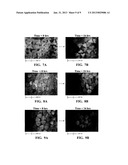 POLY-TRIMETHYLENE TEREPHTHALATE SOLID CORE FIBRILLATION-RESISTANT FILAMENT     HAVING A SUBSTANTIALLY TRIANGULAR CROSS SECTION, A SPINNERET FOR     PRODUCING THE FILAMENT, AND A CARPET MADE THEREFROM diagram and image