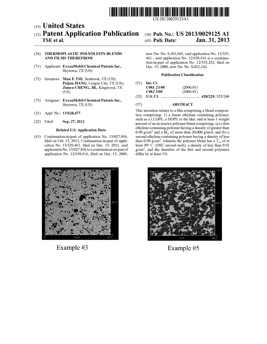 Thermoplastic Polyolefin Blends and Films Therefrom - diagram, schematic, and image 01