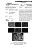 POLYANION ACTIVE MATERIALS AND METHOD OF FORMING THE SAME diagram and image