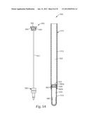 LIVE BIOLOAD DETECTION USING MICROPARTICLES diagram and image