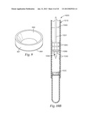 LIVE BIOLOAD DETECTION USING MICROPARTICLES diagram and image