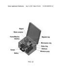 Magnetic Bead Quantum Dot Nanoparticle Assay diagram and image