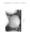 Magnetic Bead Quantum Dot Nanoparticle Assay diagram and image