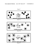 NMR SYSTEMS AND METHODS FOR THE RAPID DETECTION OF ANALYTES diagram and image