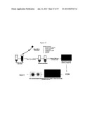 NMR SYSTEMS AND METHODS FOR THE RAPID DETECTION OF ANALYTES diagram and image