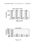 METHODS FOR DIAGNOSING AND MONITORING THE PROGRESSION OF CANCER diagram and image