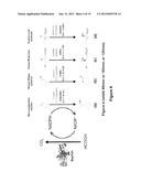 NOVEL ENZYME diagram and image