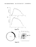 NOVEL ENZYME diagram and image