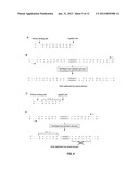 Asymmetric Adapter Library Construction diagram and image