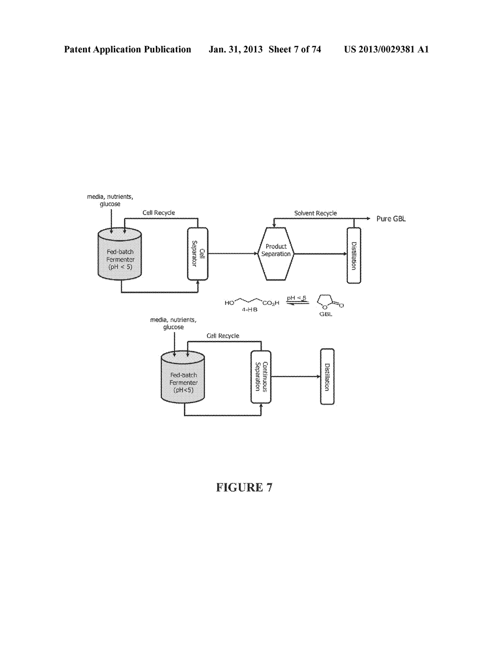 MICROORGANISMS FOR THE PRODUCTION OF 1,4-BUTANEDIOL, 4-HYDROXYBUTANAL,     4-HYDROXYBUTYRYL-COA, PUTRESCINE AND RELATED COMPOUNDS, AND METHODS     RELATED THERETO - diagram, schematic, and image 08