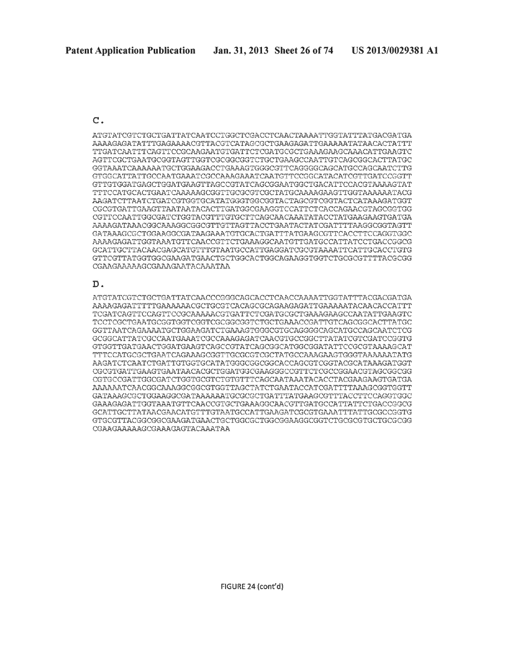 MICROORGANISMS FOR THE PRODUCTION OF 1,4-BUTANEDIOL, 4-HYDROXYBUTANAL,     4-HYDROXYBUTYRYL-COA, PUTRESCINE AND RELATED COMPOUNDS, AND METHODS     RELATED THERETO - diagram, schematic, and image 27