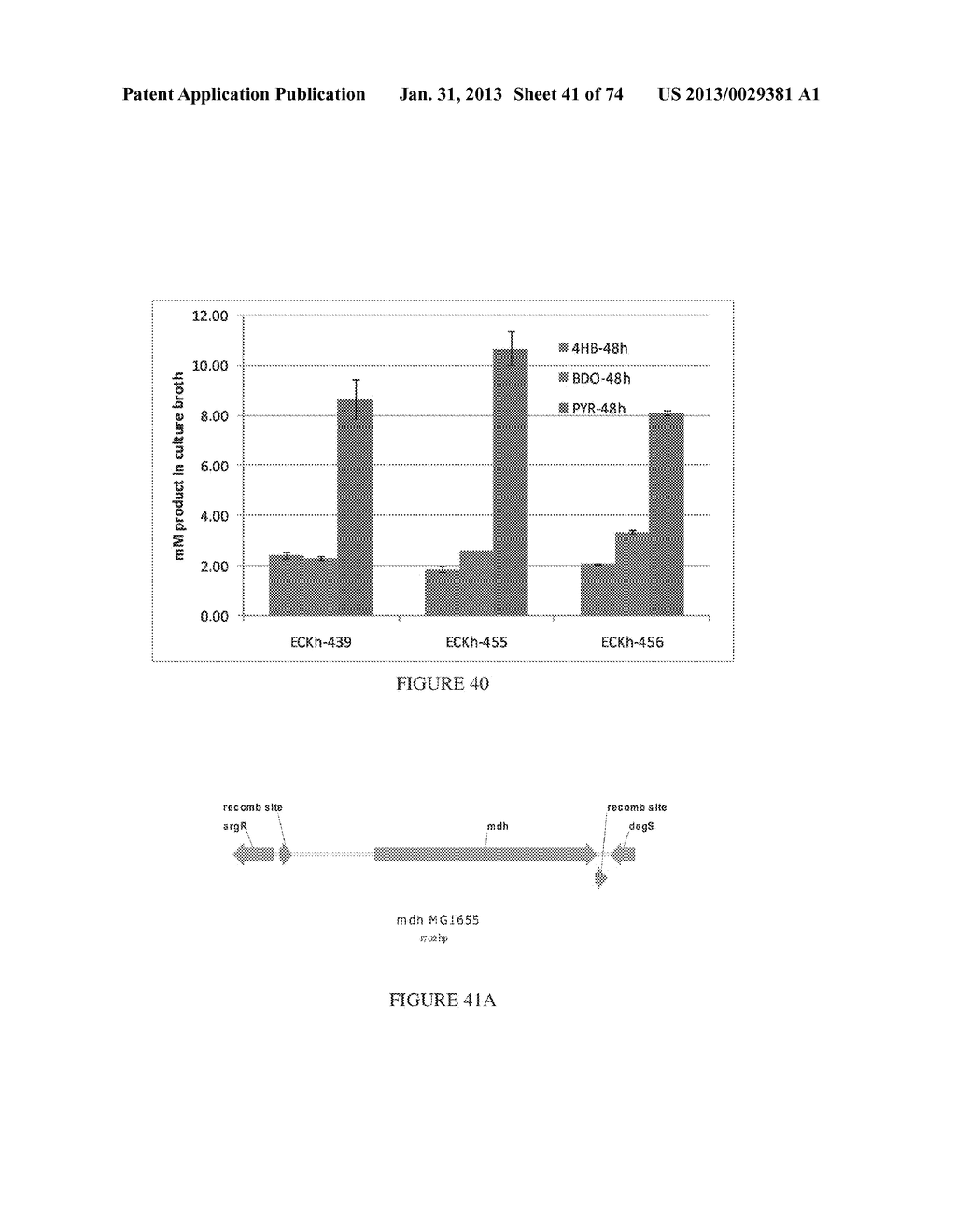 MICROORGANISMS FOR THE PRODUCTION OF 1,4-BUTANEDIOL, 4-HYDROXYBUTANAL,     4-HYDROXYBUTYRYL-COA, PUTRESCINE AND RELATED COMPOUNDS, AND METHODS     RELATED THERETO - diagram, schematic, and image 42