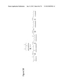 MICROORGANISMS FOR THE PRODUCTION OF 1,4-BUTANEDIOL, 4-HYDROXYBUTANAL,     4-HYDROXYBUTYRYL-COA, PUTRESCINE AND RELATED COMPOUNDS, AND METHODS     RELATED THERETO diagram and image
