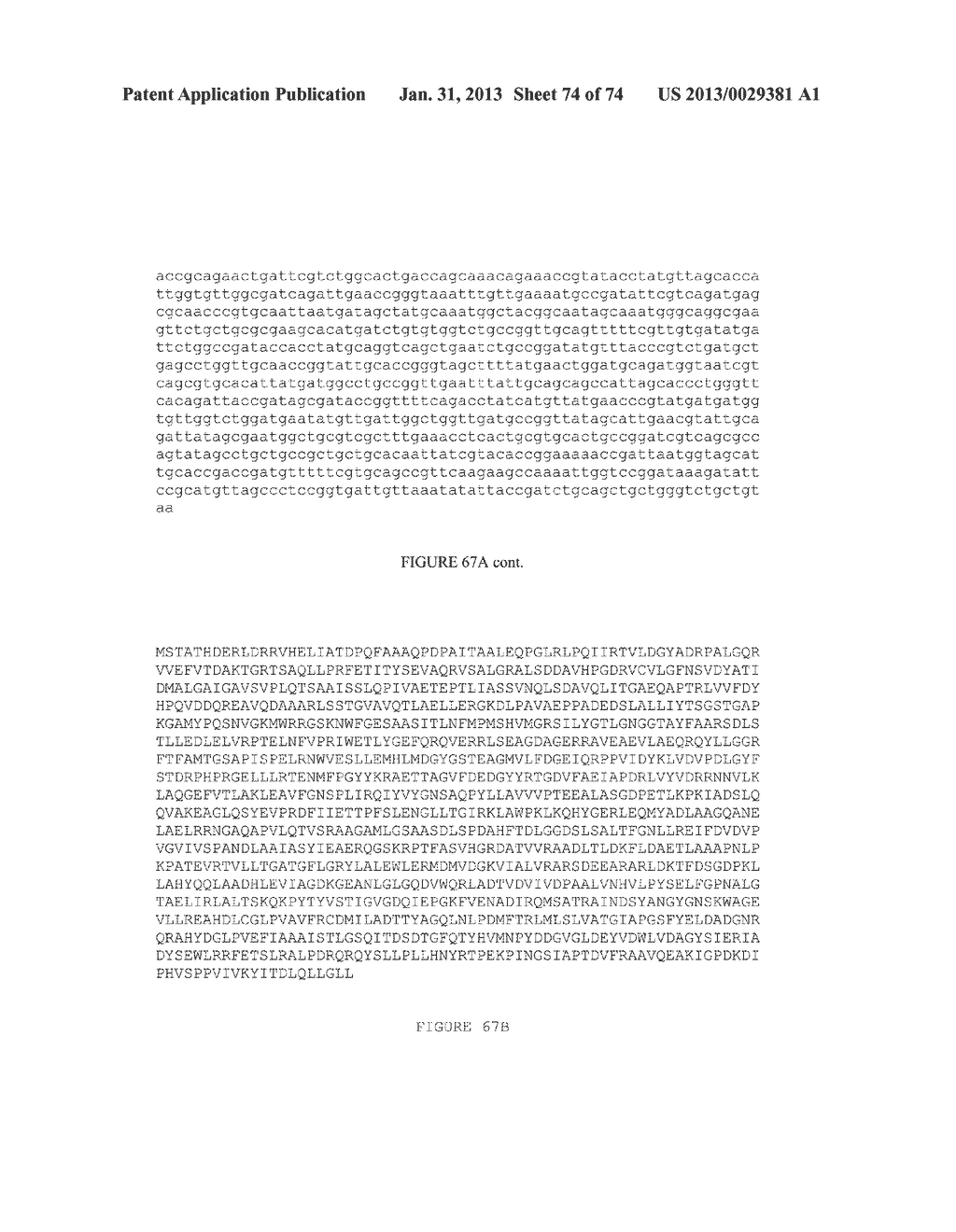 MICROORGANISMS FOR THE PRODUCTION OF 1,4-BUTANEDIOL, 4-HYDROXYBUTANAL,     4-HYDROXYBUTYRYL-COA, PUTRESCINE AND RELATED COMPOUNDS, AND METHODS     RELATED THERETO - diagram, schematic, and image 75