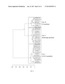 MATERIALS AND METHODS FOR USING AN ACYL-ACYL CARRIER PROTEIN THIOESTERASE     AND MUTANTS AND CHIMERAS THEREOF IN FATTY ACID SYNTHESIS diagram and image