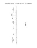 RECOMBINANT ETHANOLOGENIC BACTERIA diagram and image