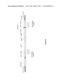 RECOMBINANT ETHANOLOGENIC BACTERIA diagram and image