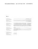 GENETIC ELEMENTS, PROTEINS, AND ASSOCIATED METHODS INCLUDING APPLICATION     OF ADDIITNAL GENETIC INFORMATION TO GRAM (+) THERMOACIDOPHILES diagram and image