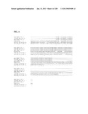 GENETIC ELEMENTS, PROTEINS, AND ASSOCIATED METHODS INCLUDING APPLICATION     OF ADDIITNAL GENETIC INFORMATION TO GRAM (+) THERMOACIDOPHILES diagram and image