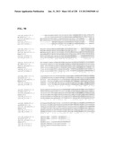 GENETIC ELEMENTS, PROTEINS, AND ASSOCIATED METHODS INCLUDING APPLICATION     OF ADDIITNAL GENETIC INFORMATION TO GRAM (+) THERMOACIDOPHILES diagram and image