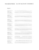 GENETIC ELEMENTS, PROTEINS, AND ASSOCIATED METHODS INCLUDING APPLICATION     OF ADDIITNAL GENETIC INFORMATION TO GRAM (+) THERMOACIDOPHILES diagram and image