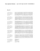 GENETIC ELEMENTS, PROTEINS, AND ASSOCIATED METHODS INCLUDING APPLICATION     OF ADDIITNAL GENETIC INFORMATION TO GRAM (+) THERMOACIDOPHILES diagram and image