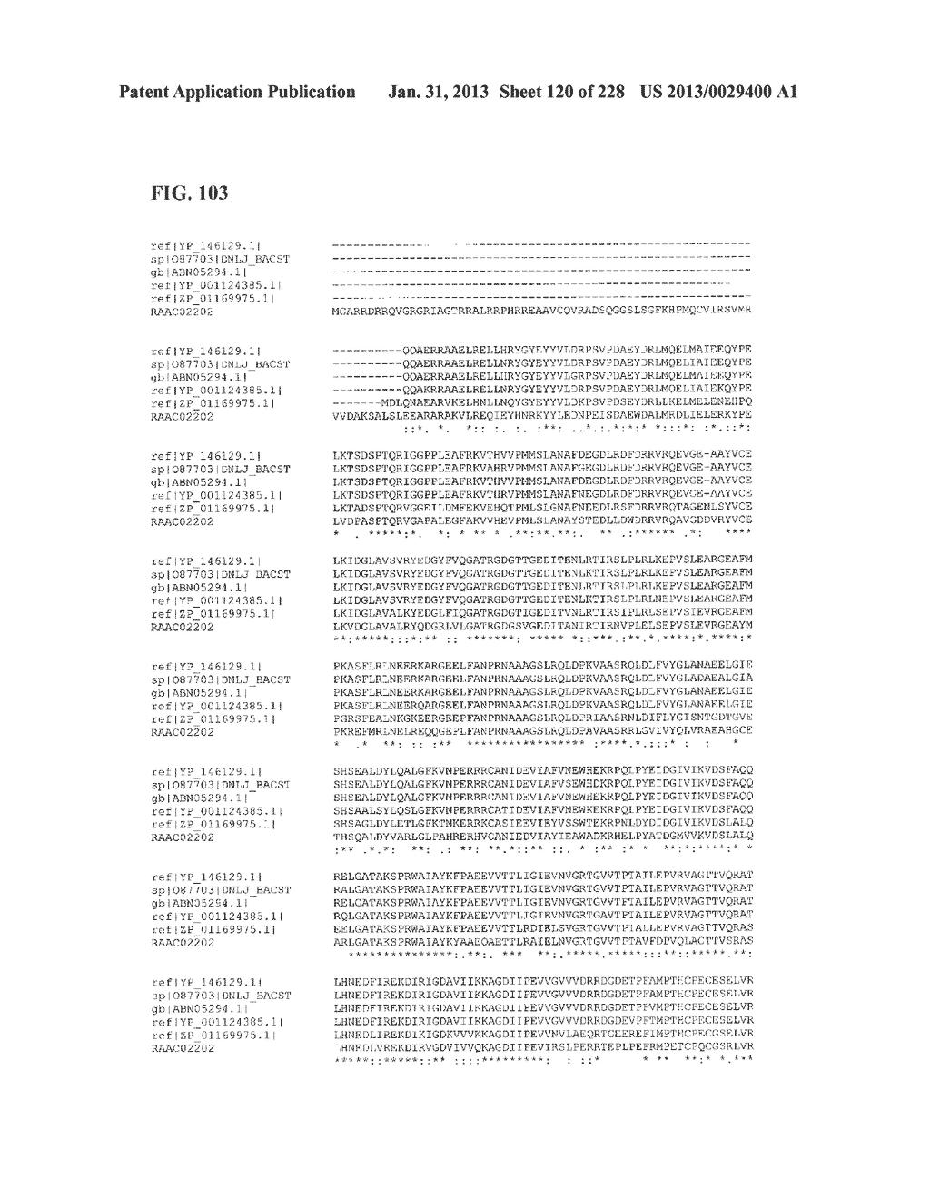 GENETIC ELEMENTS, PROTEINS, AND ASSOCIATED METHODS INCLUDING APPLICATION     OF ADDIITNAL GENETIC INFORMATION TO GRAM (+) THERMOACIDOPHILES - diagram, schematic, and image 121