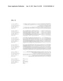 GENETIC ELEMENTS, PROTEINS, AND ASSOCIATED METHODS INCLUDING APPLICATION     OF ADDIITNAL GENETIC INFORMATION TO GRAM (+) THERMOACIDOPHILES diagram and image