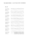 GENETIC ELEMENTS, PROTEINS, AND ASSOCIATED METHODS INCLUDING APPLICATION     OF ADDIITNAL GENETIC INFORMATION TO GRAM (+) THERMOACIDOPHILES diagram and image