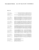 GENETIC ELEMENTS, PROTEINS, AND ASSOCIATED METHODS INCLUDING APPLICATION     OF ADDIITNAL GENETIC INFORMATION TO GRAM (+) THERMOACIDOPHILES diagram and image