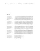 GENETIC ELEMENTS, PROTEINS, AND ASSOCIATED METHODS INCLUDING APPLICATION     OF ADDIITNAL GENETIC INFORMATION TO GRAM (+) THERMOACIDOPHILES diagram and image