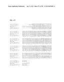 GENETIC ELEMENTS, PROTEINS, AND ASSOCIATED METHODS INCLUDING APPLICATION     OF ADDIITNAL GENETIC INFORMATION TO GRAM (+) THERMOACIDOPHILES diagram and image