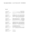 GENETIC ELEMENTS, PROTEINS, AND ASSOCIATED METHODS INCLUDING APPLICATION     OF ADDIITNAL GENETIC INFORMATION TO GRAM (+) THERMOACIDOPHILES diagram and image