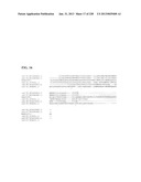 GENETIC ELEMENTS, PROTEINS, AND ASSOCIATED METHODS INCLUDING APPLICATION     OF ADDIITNAL GENETIC INFORMATION TO GRAM (+) THERMOACIDOPHILES diagram and image