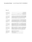 GENETIC ELEMENTS, PROTEINS, AND ASSOCIATED METHODS INCLUDING APPLICATION     OF ADDIITNAL GENETIC INFORMATION TO GRAM (+) THERMOACIDOPHILES diagram and image