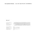 GENETIC ELEMENTS, PROTEINS, AND ASSOCIATED METHODS INCLUDING APPLICATION     OF ADDIITNAL GENETIC INFORMATION TO GRAM (+) THERMOACIDOPHILES diagram and image