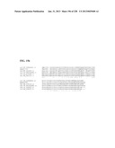 GENETIC ELEMENTS, PROTEINS, AND ASSOCIATED METHODS INCLUDING APPLICATION     OF ADDIITNAL GENETIC INFORMATION TO GRAM (+) THERMOACIDOPHILES diagram and image