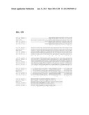 GENETIC ELEMENTS, PROTEINS, AND ASSOCIATED METHODS INCLUDING APPLICATION     OF ADDIITNAL GENETIC INFORMATION TO GRAM (+) THERMOACIDOPHILES diagram and image