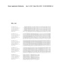 GENETIC ELEMENTS, PROTEINS, AND ASSOCIATED METHODS INCLUDING APPLICATION     OF ADDIITNAL GENETIC INFORMATION TO GRAM (+) THERMOACIDOPHILES diagram and image