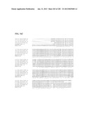 GENETIC ELEMENTS, PROTEINS, AND ASSOCIATED METHODS INCLUDING APPLICATION     OF ADDIITNAL GENETIC INFORMATION TO GRAM (+) THERMOACIDOPHILES diagram and image