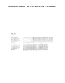 GENETIC ELEMENTS, PROTEINS, AND ASSOCIATED METHODS INCLUDING APPLICATION     OF ADDIITNAL GENETIC INFORMATION TO GRAM (+) THERMOACIDOPHILES diagram and image