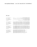 GENETIC ELEMENTS, PROTEINS, AND ASSOCIATED METHODS INCLUDING APPLICATION     OF ADDIITNAL GENETIC INFORMATION TO GRAM (+) THERMOACIDOPHILES diagram and image