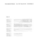 GENETIC ELEMENTS, PROTEINS, AND ASSOCIATED METHODS INCLUDING APPLICATION     OF ADDIITNAL GENETIC INFORMATION TO GRAM (+) THERMOACIDOPHILES diagram and image