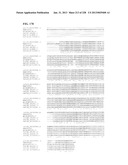 GENETIC ELEMENTS, PROTEINS, AND ASSOCIATED METHODS INCLUDING APPLICATION     OF ADDIITNAL GENETIC INFORMATION TO GRAM (+) THERMOACIDOPHILES diagram and image